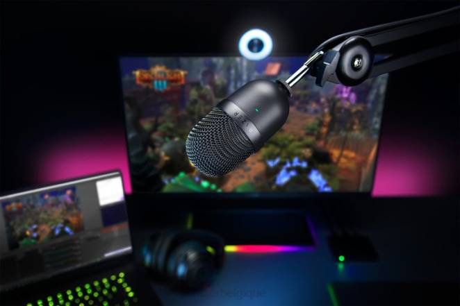 Razer création de contenu noir seiren mini F8BX110